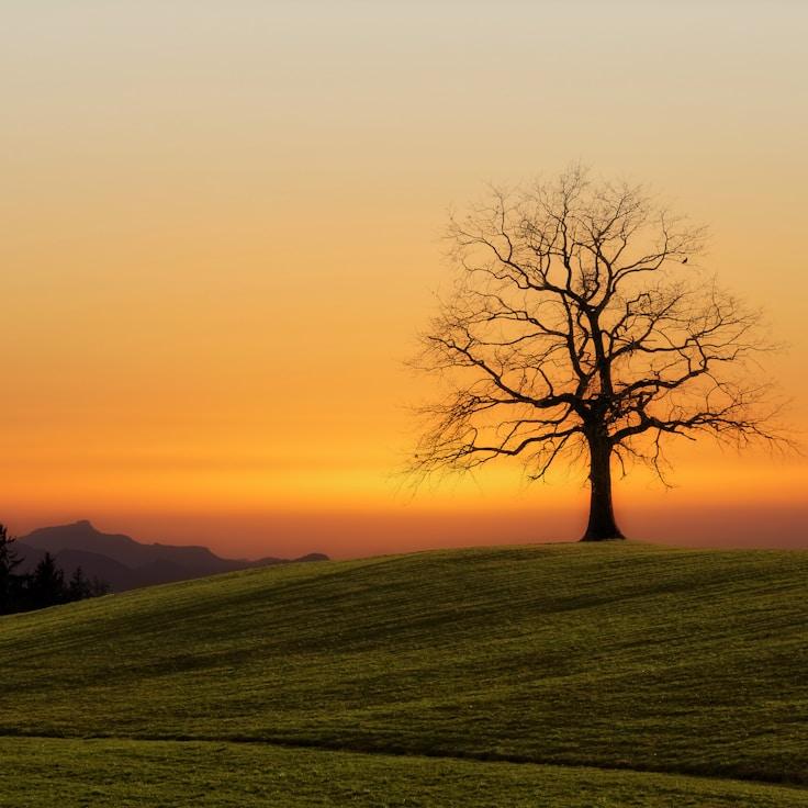 Protected areas overview